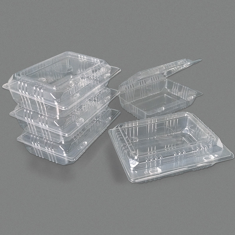 Sushi box with instant lid - CTN500