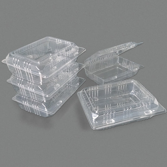 Sushi box with instant lid - CTN500